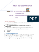 Morphology of Flowering Plants Class11