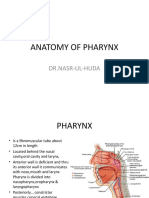 Anatomy of Pharynx