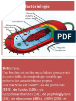 Bacterie