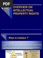 Overview On Intellectual Property Rights