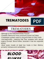 TREMATODES