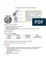 06.11.19 Evaluación Percepción Acústica Del Habla en Niños Que Presentan Hipoacusia