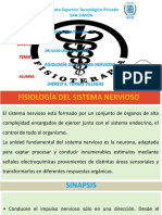 Fisiología Del Sistema Nervioso