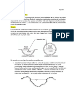 Conocimientos de La Hidraulica