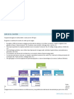 Introducción Oncologia