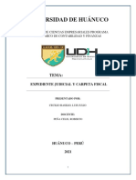 Expediente Judicial y Carpeta Fiscal - Luis Cecilio