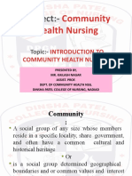 Introduction To Community Health Nursing