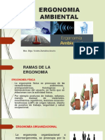 Ergonomia Ambiental: Msc. Blga. Violeta Zamalloa Acurio