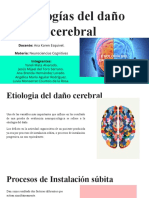 Etiologías Del Daño Cerebral