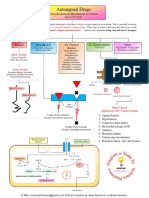 Antianginal Drugs - Classification and Mechanism