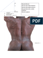 Articulación Atloidoodontoidea