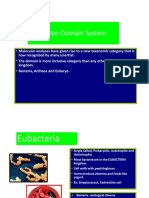 The Three-Domain System