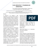 Tolerancia de Los Linfocitos T y Tolerancia de Los Linfocitos B