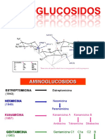 Aminoglucosidos