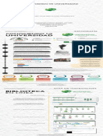 Infografía Conociendo A Mi Universidad