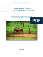 Root Causes of Food Insecurity in Ethiopia - Eud Paper