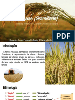 Seminário Poaceae (Gramineae)