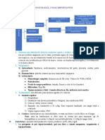 Neonatologia, Resumenes y Esquemas.