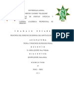 Principios Del Derecho de Defensa Del Imputado en El Proceso Penal.