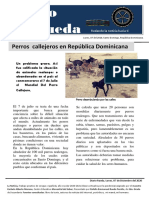 La Noticia - Perros Callegeros - Tarea Español