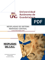 Uag 2 Neoplasias SNC 2020