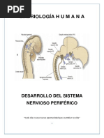 Clase 8 Guia Grupo 2