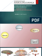 Eje Hipotalamo - Hipofisiario