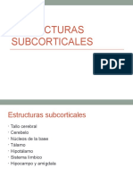 Estructuras Subcorticales