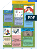 Infografica