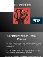 O Texto Poético