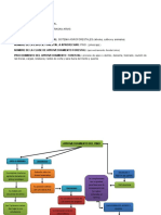 Diagrama de Flujo