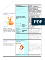 !!!hormônios e Suas Funções!!!