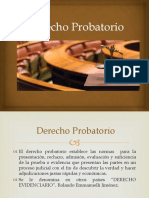 Curso de Derecho Probatorio