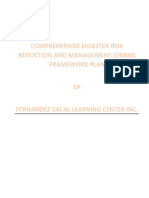 Comprehensive Disaster Risk Reduction and Management (DRRM) Framework Plan