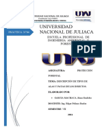 Descripcion de Los Tipos de Alas y Patas de Los Insectos