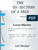 THE Cross - Section of A Tree: Prepared By: S. Bryan