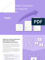 The Delighted Customer Experience Maturity Assessment