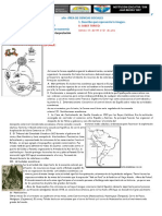 CCSS 3° - Sem10 - La Economía en La Colonia-Ficha 7