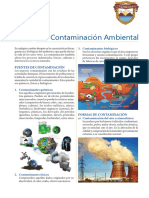 Contaminación Ambiental 1sec