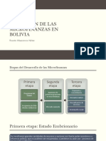 Evolucion de Las Microfinanzas