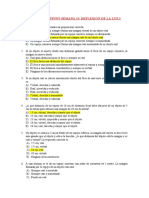 Paralelo Cepunt 2021. Reflexion de La Luz