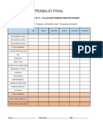 Trabajo Final Evso