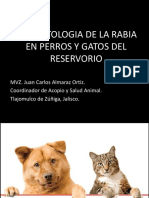 6 Fisiopatologia Rabia Perros y Gatos SESA JAL