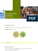 Encefalitis Equina