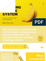 Boosting Immune System