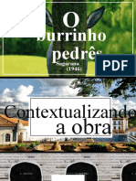 O Burrinho Pedrês PDF