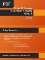 Class 10 Biology Respiration Chapter Video 3