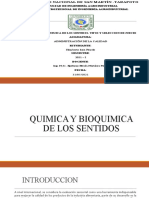 Quimica y Bioquimica de Los Sentidos