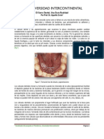 El Sarro Dental Una Dura Realidad (UIC 2010 Dr. Zerón)