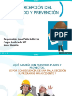 Percepcion Del Cuidado y Prevencion